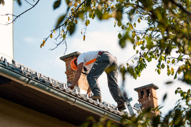 Professional Roofing Contractor in Palisades Park, NJ