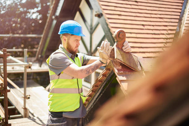 Best Shingle Roofing Installation  in Palisades Park, NJ