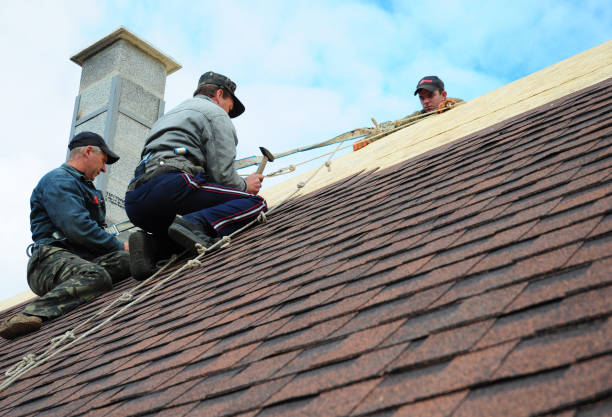 Best Roof Leak Repair  in Palisades Park, NJ